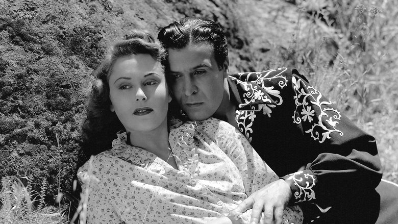 Backdrop image for movie Zorro's Black Whip