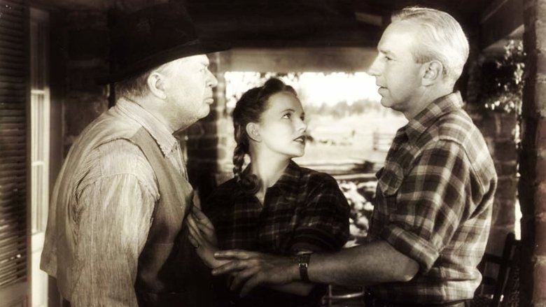 Backdrop image for movie Green Grass of Wyoming