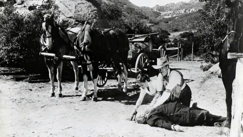 Backdrop image for movie I Killed Wild Bill Hickok