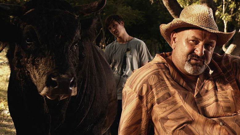 Backdrop image for movie Sonja and the Bull