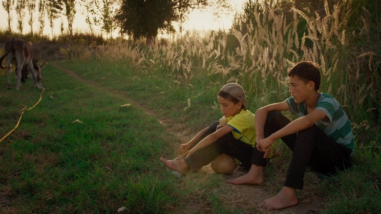 Backdrop image for movie A First Farewell