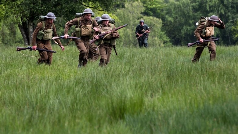 Backdrop image for movie Brothers of War