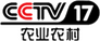 CCTV-17