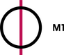M1