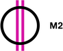 M2