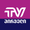 TV პირველი