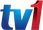 RTM1