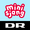 DR Minisjang