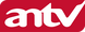 Logo de la cadena antv