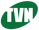 Logo de la cadena Nara Television