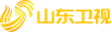 Shandong Television