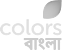 Network Logo