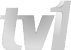 Network Logo