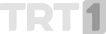 Network Logo