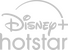 Network Logo