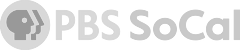 Network Logo