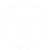 Network Logo