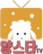 yangstartv