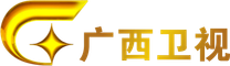 少年包青天