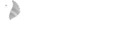 Bazelevs