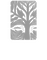Tunche Films