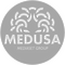 Medusa Film