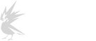 CD PROJEKT RED