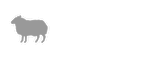 BBH Entertainment
