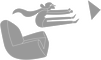 Pasajero
