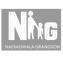 Nadiadwala Grandson Entertainment