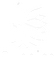 Quebico