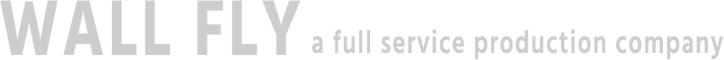 Wall Fly