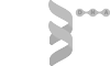 CR8IV DNA