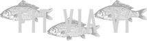 Fit Via Vi