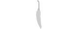 White Hot Productions