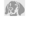 Weimaraner Republic Pictures