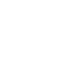 Fox International Productions