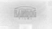 Raindog Films