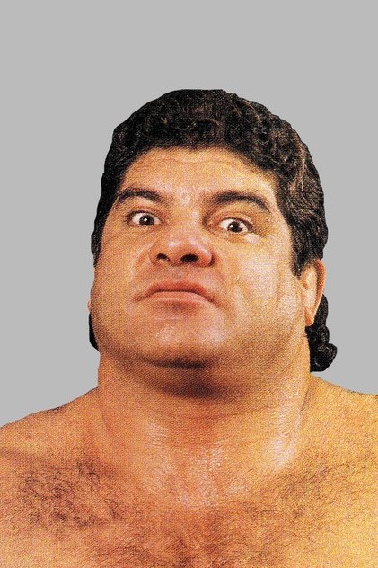 Don Muraco Don Muraco