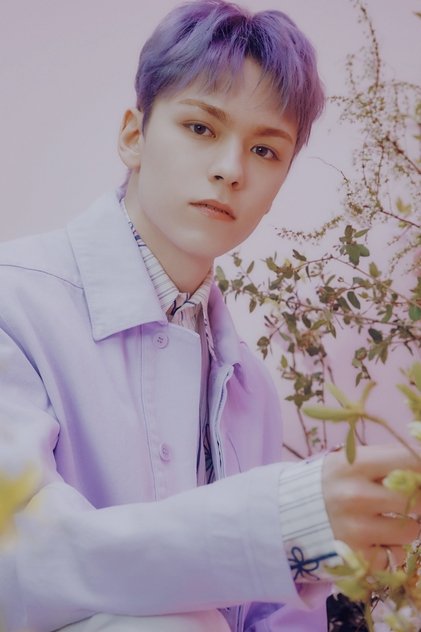 Vernon Vernon