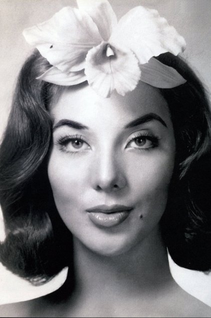 Lorena Velázquez Lorena Velázquez
