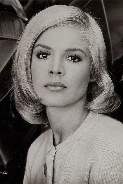 Sandra Dee Profilbild