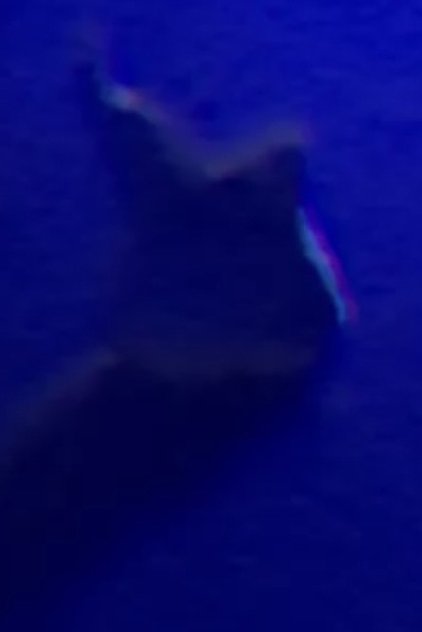 Tooth