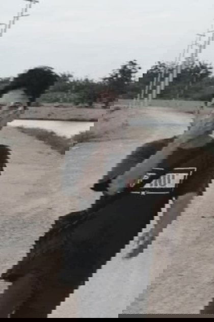 Sahrul Projectt Sahrul Projectt