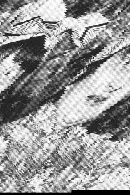Belsana Arfenone