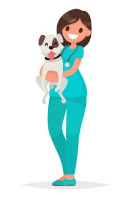 Random Vet