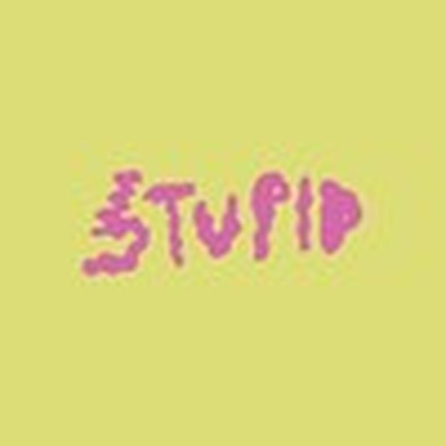 Stupid Co