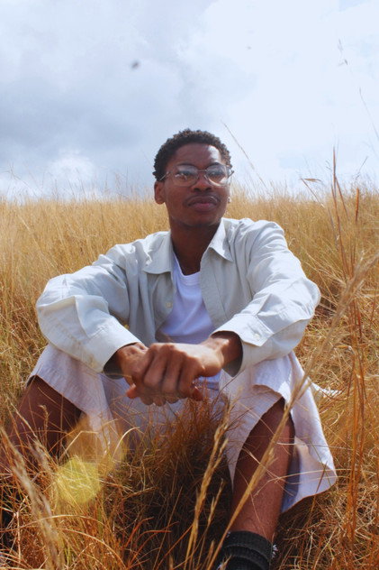 Laziwe Mdladla