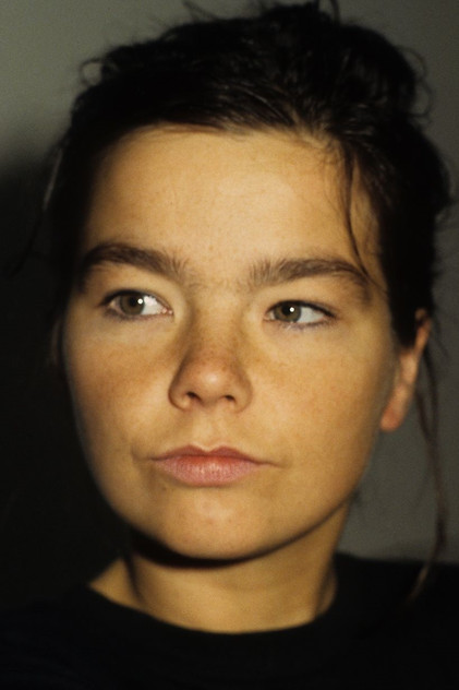 Björk - 4
