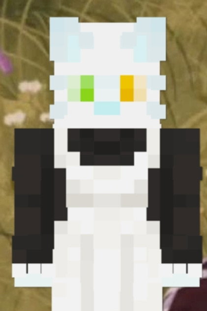 Mysticat